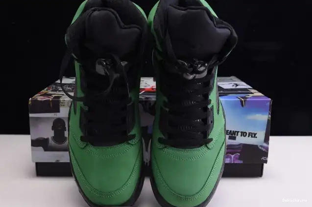 Rep BK Oregon Air SE 5 Ducks Jordan CK6631-307 0217