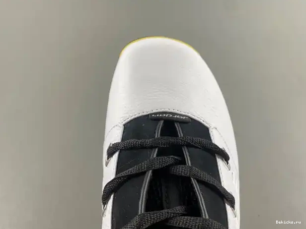 Rep BK Jordan 17 FJ0395-100 Air Low Lightning 0219