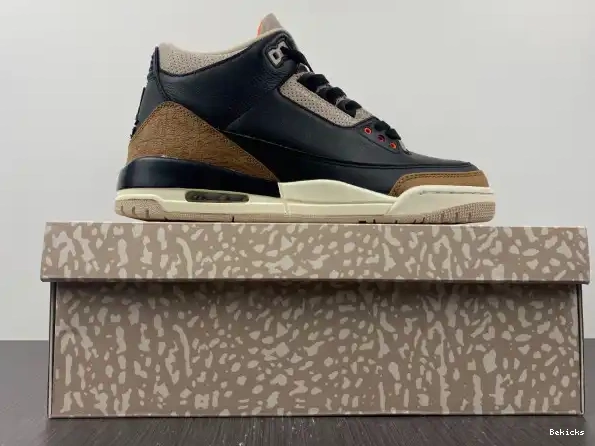 Cheap BK Desert Air Elephant Jordan 3 CT8532-008 0213